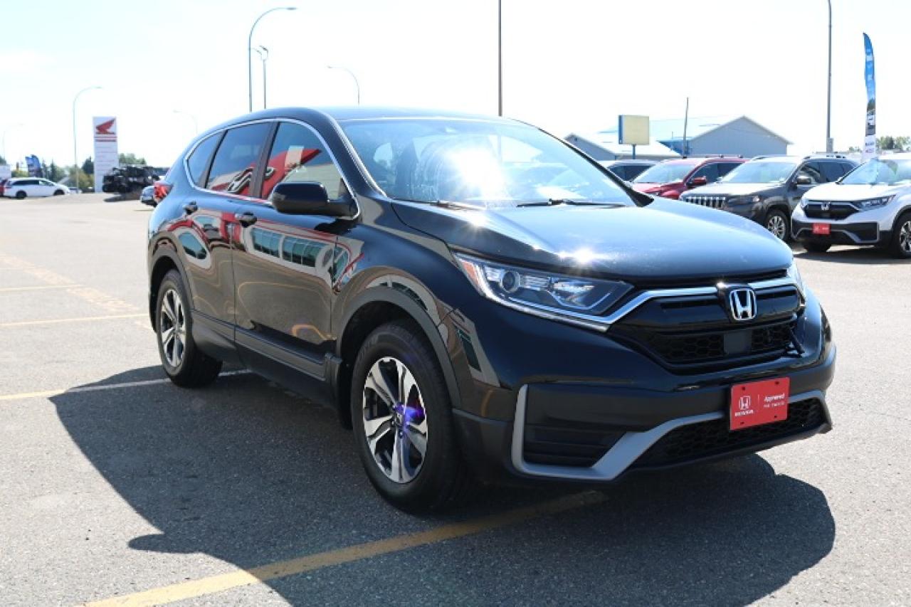 2020 Honda CR-V LX Photo