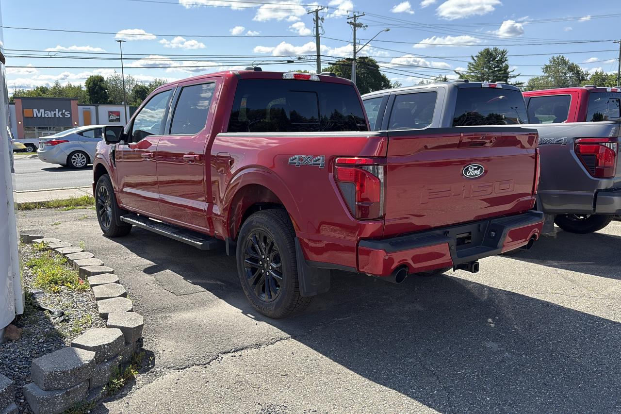 2025 Ford F-150  Photo