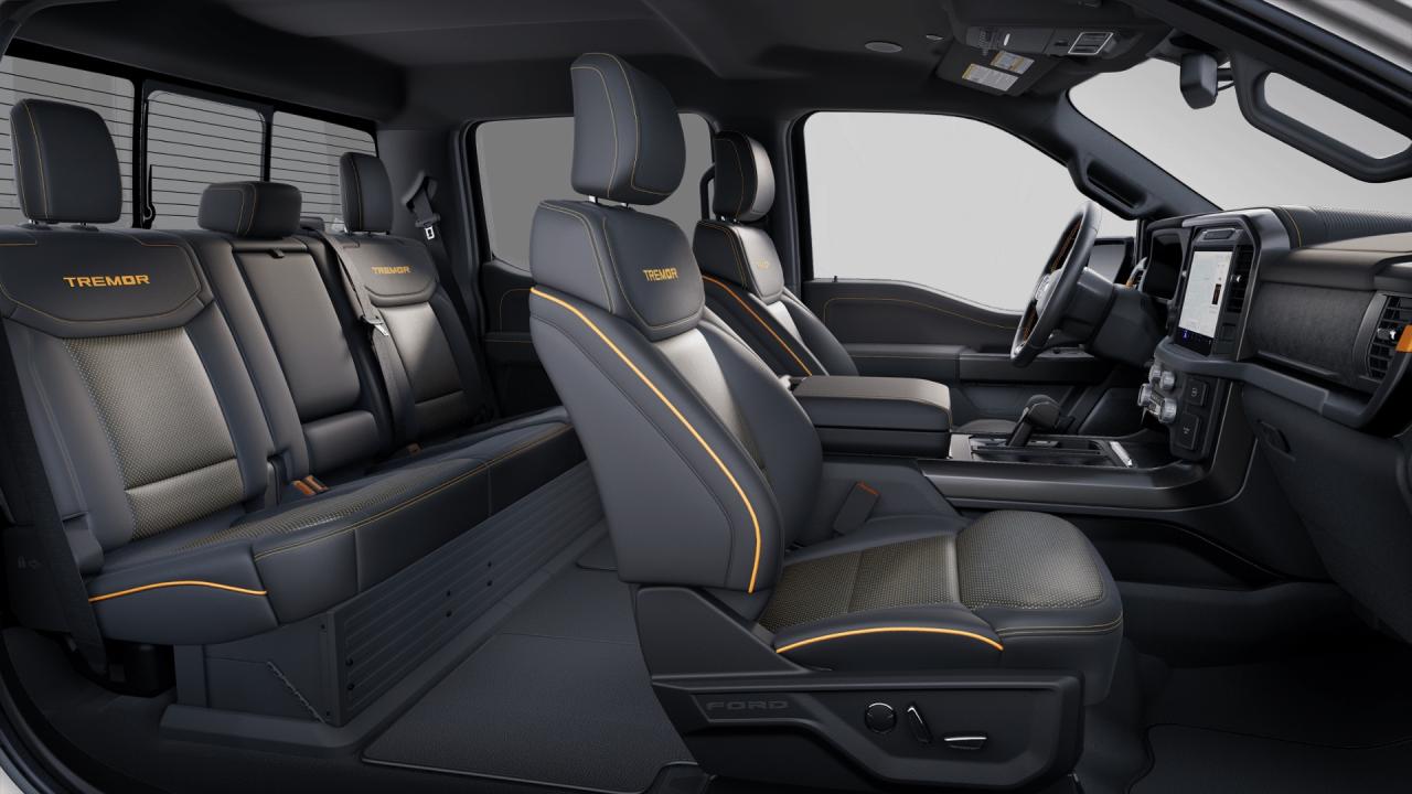 2025 Ford F-150 Tremor® Photo5