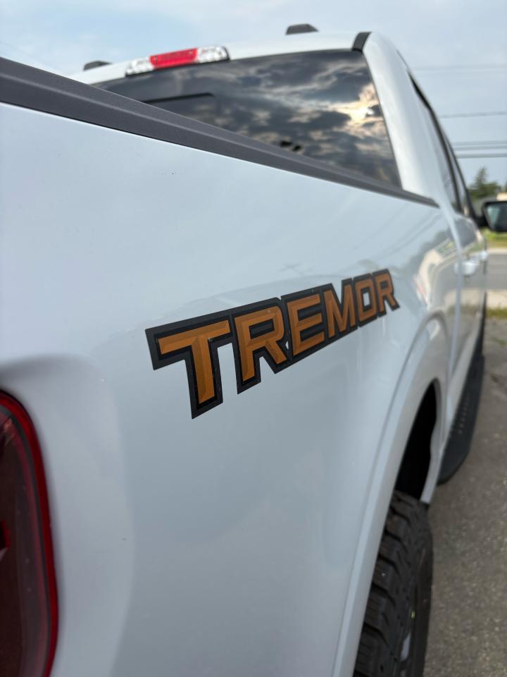 2025 Ford F-150 Tremor® Photo