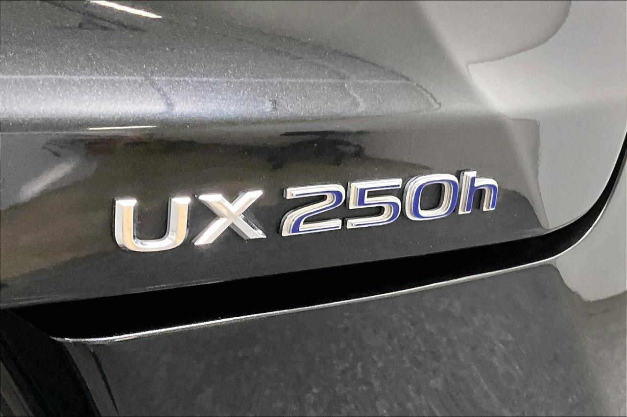 12785516