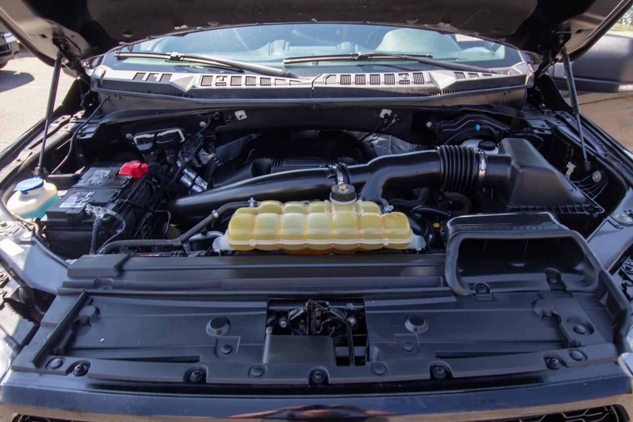 2019 Ford F-150 XLT 4WD SuperCrew 5.5' Box Photo5