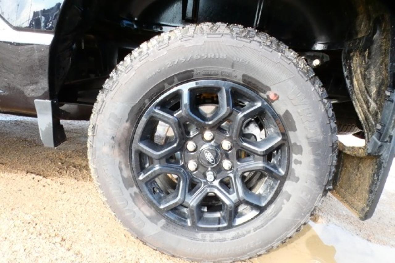 2025 Ford F-150 XLT 4WD SuperCrew w/Power cloth seats, BUC - Photo #18