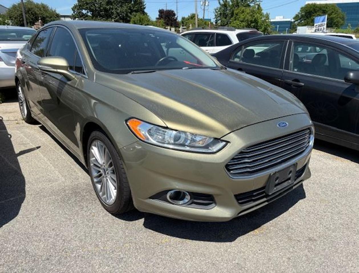 2013 Ford Fusion SE Photo