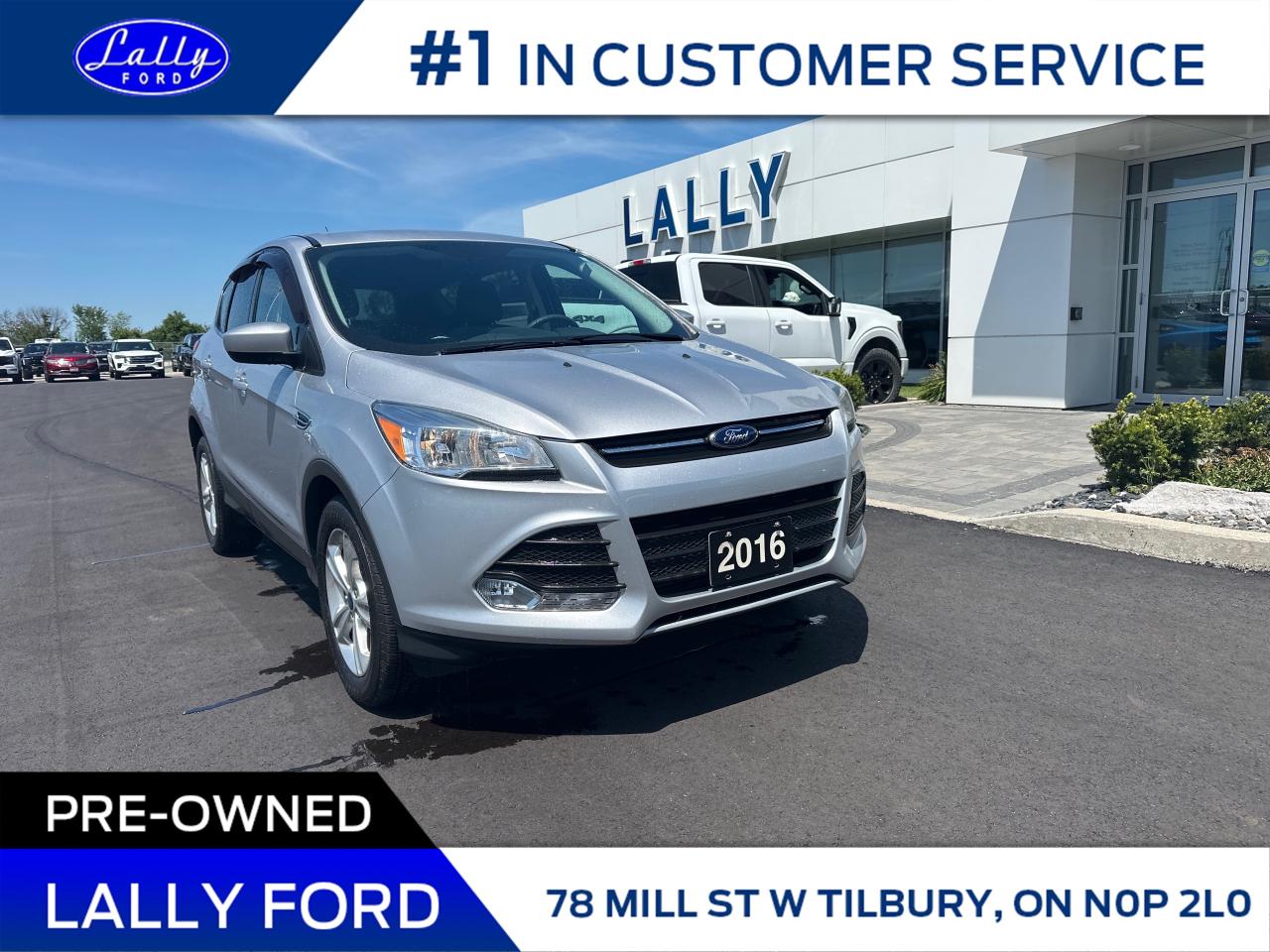 Used 2016 Ford Escape SE Only 74,993 kms, New Tires, Local Tires!! for sale in Tilbury, ON