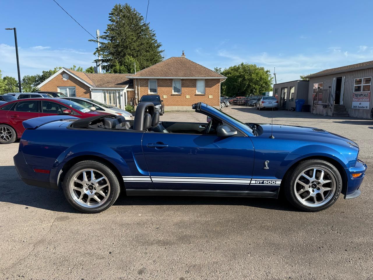 2008 Ford Mustang SHELBY GT500 CONV, ONLY 13,000KMS, MINT,CERT Photo