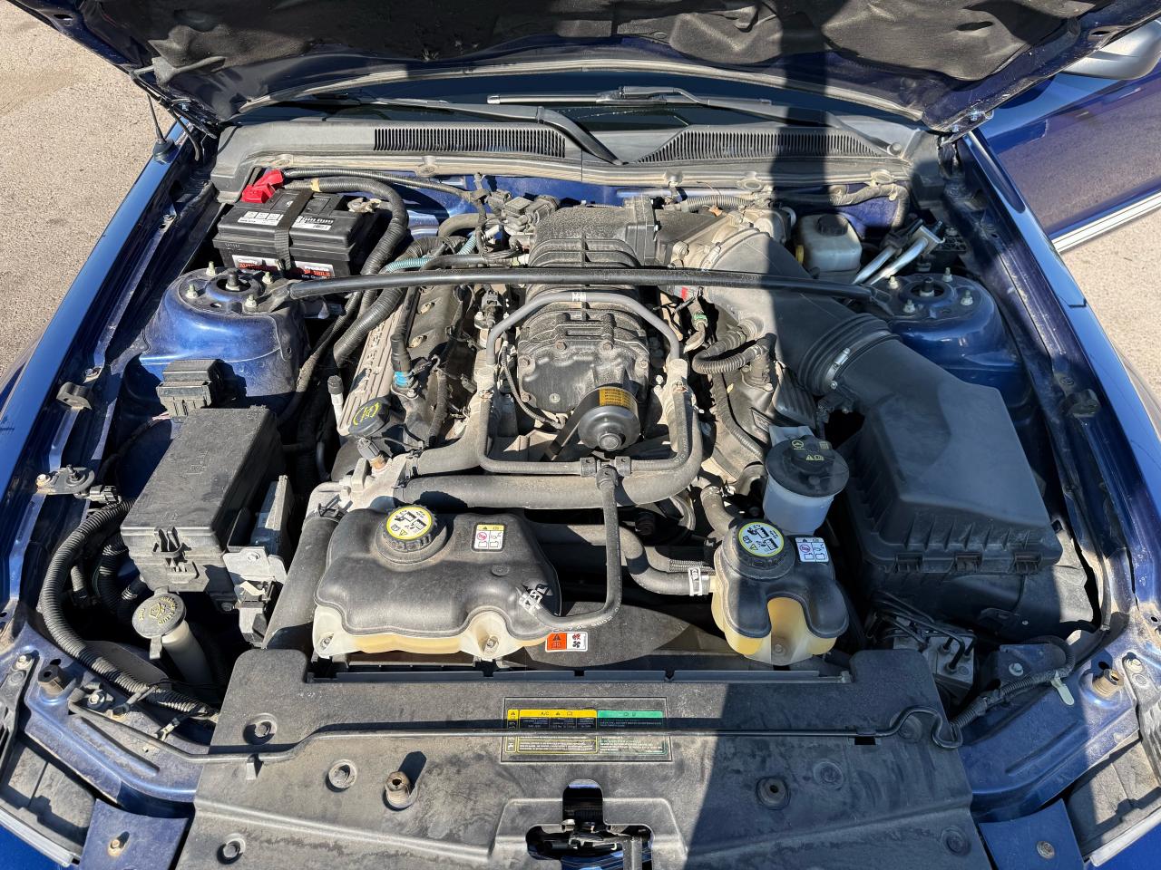 2008 Ford Mustang SHELBY GT500 CONV, ONLY 13,000KMS, MINT,CERT - Photo #14