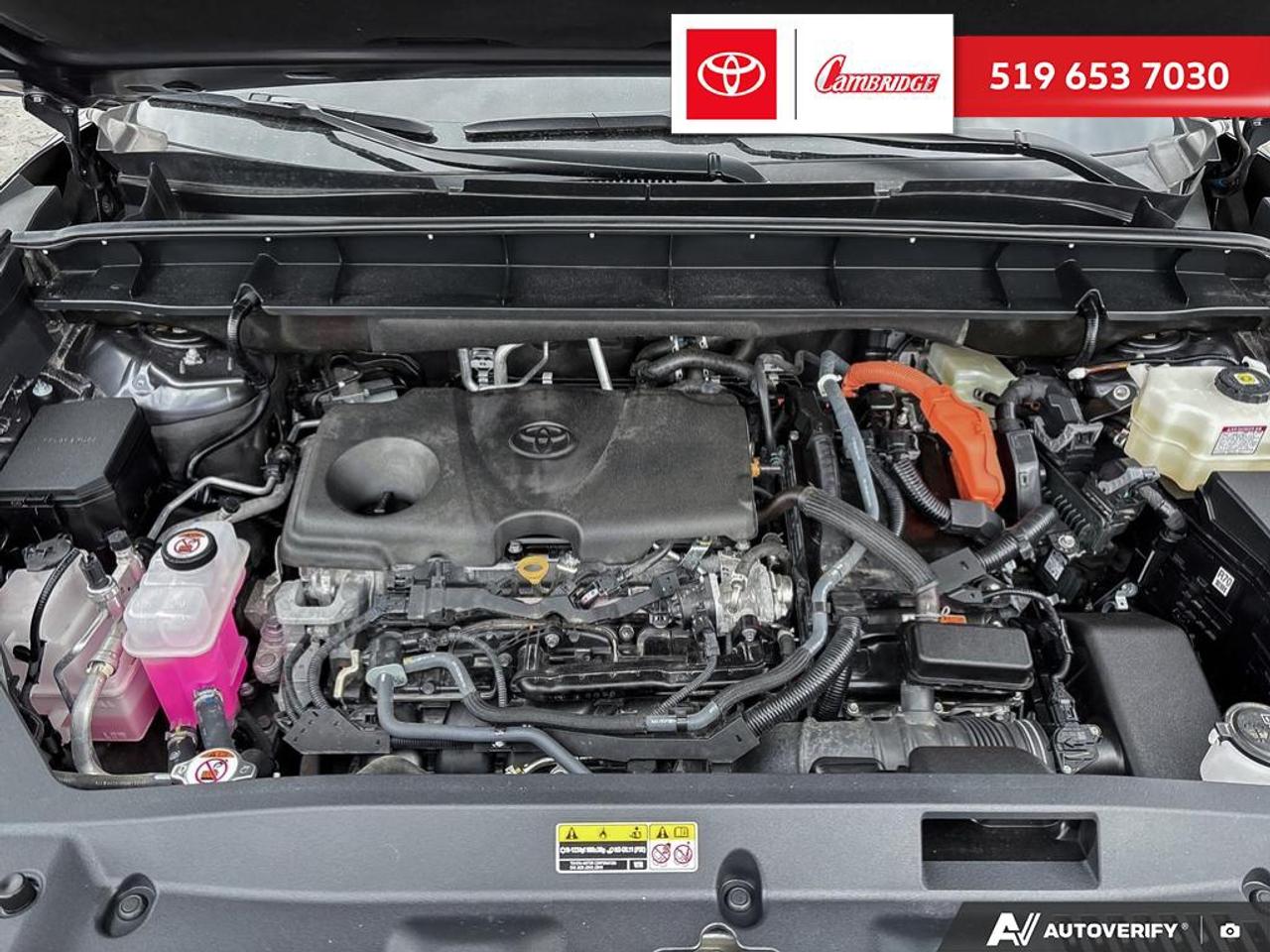 2024 Toyota Highlander HYBRID XLE Photo