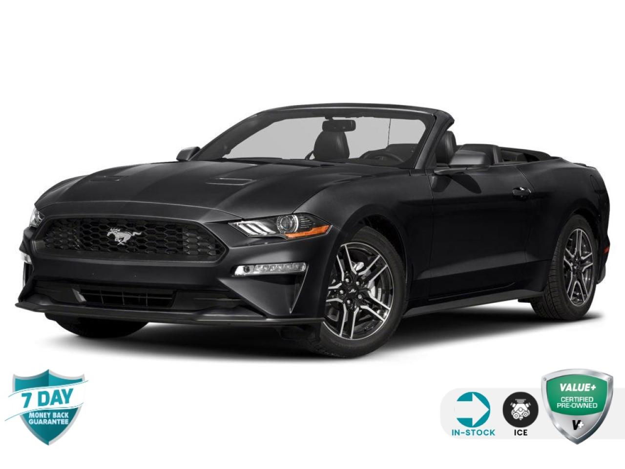 Recent Arrival!<br><br><br>2.3L High Performance Package, 3.55 Limited-Slip Rear-Axle, Active Valve Performance Exhaust, Engine Spun Aluminum Instrument Panel, Gauge Pack, Heavy-Duty Front Springs, Larger Brake Rotors w/4-Piston Fixed Calipers, Larger Radiator, Magnetic Exterior Mirror, Wheels: 19 x 9 Machined-Faced Aluminum.<br><br>Black 2020 Ford Mustang EcoBoost 2D Convertible 2.3L 4-Cylinder DGI Turbocharged DOHC 6-Speed Manual RWD<p></p>

<h4>VALUE+ CERTIFIED PRE-OWNED VEHICLE</h4>

<p>36-point Provincial Safety Inspection<br />
172-point inspection combined mechanical, aesthetic, functional inspection including a vehicle report card<br />
Warranty: 30 Days or 1500 KMS on mechanical safety-related items and extended plans are available<br />
Complimentary CARFAX Vehicle History Report<br />
2X Provincial safety standard for tire tread depth<br />
2X Provincial safety standard for brake pad thickness<br />
7 Day Money Back Guarantee*<br />
Market Value Report provided<br />
Complimentary 3 months SIRIUS XM satellite radio subscription on equipped vehicles<br />
Complimentary wash and vacuum<br />
Vehicle scanned for open recall notifications from manufacturer</p>

<p>SPECIAL NOTE: This vehicle is reserved for AutoIQs retail customers only. Please, No dealer calls. Errors & omissions excepted.</p>

<p>*As-traded, specialty or high-performance vehicles are excluded from the 7-Day Money Back Guarantee Program (including, but not limited to Ford Shelby, Ford mustang GT, Ford Raptor, Chevrolet Corvette, Camaro 2SS, Camaro ZL1, V-Series Cadillac, Dodge/Jeep SRT, Hyundai N Line, all electric models)</p>