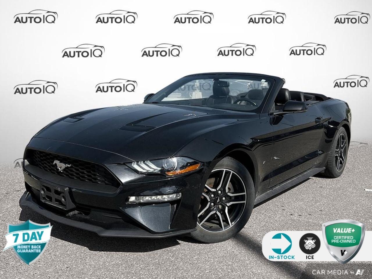 Used 2020 Ford Mustang EcoBoost Premium for sale in Oakville, ON