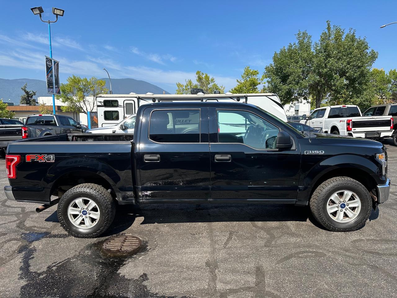 2017 Ford F-150 XLT Photo3