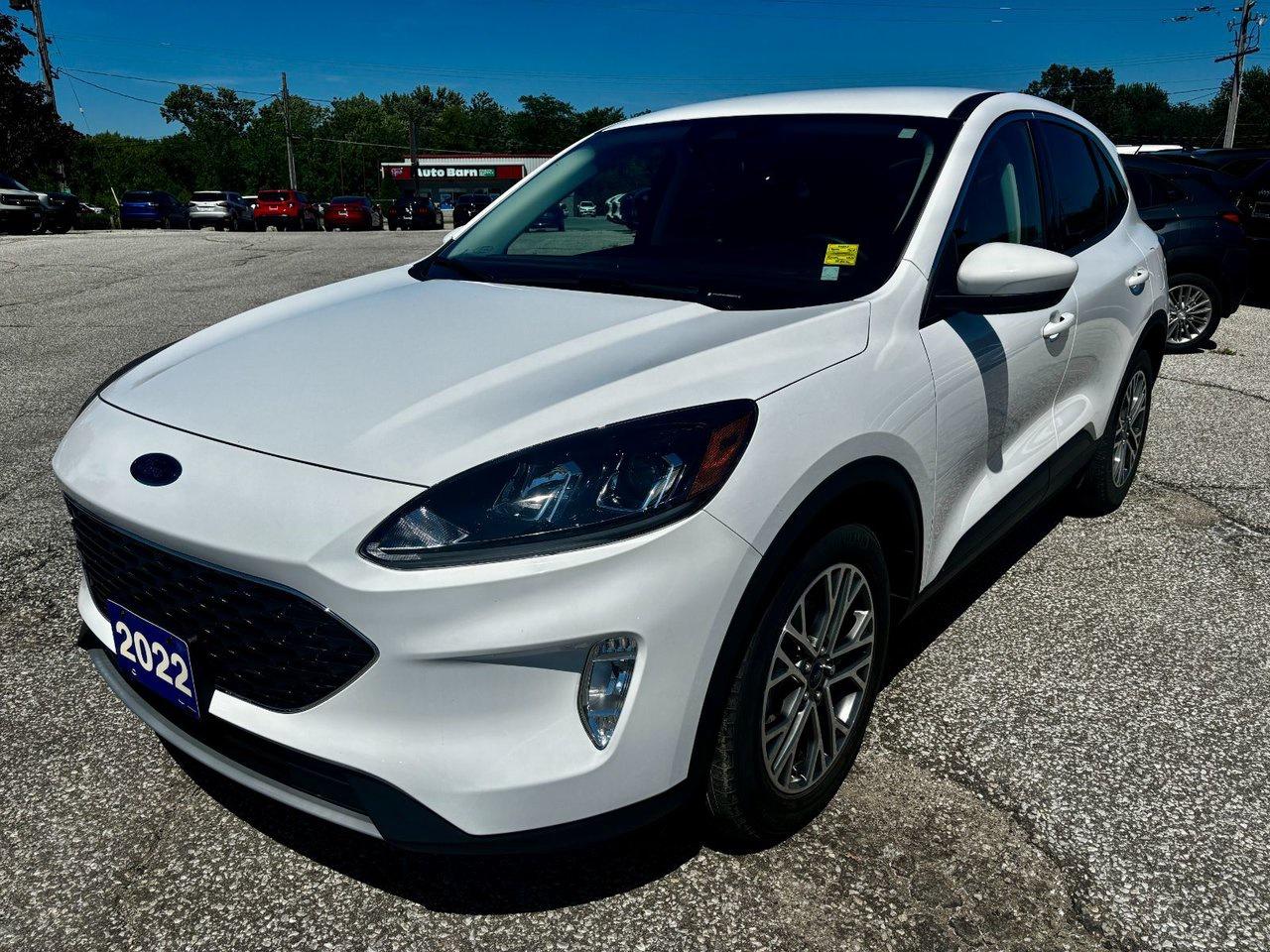 Used 2022 Ford Escape SEL for sale in Essex, ON