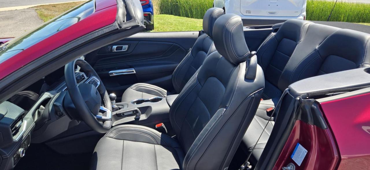 2025 Ford Mustang GT Photo