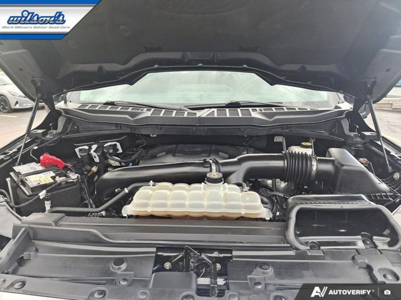 2022 Ford F-150 Limited | Nav | Leather | Pano Roof | New Tires | New Brakes | Photo