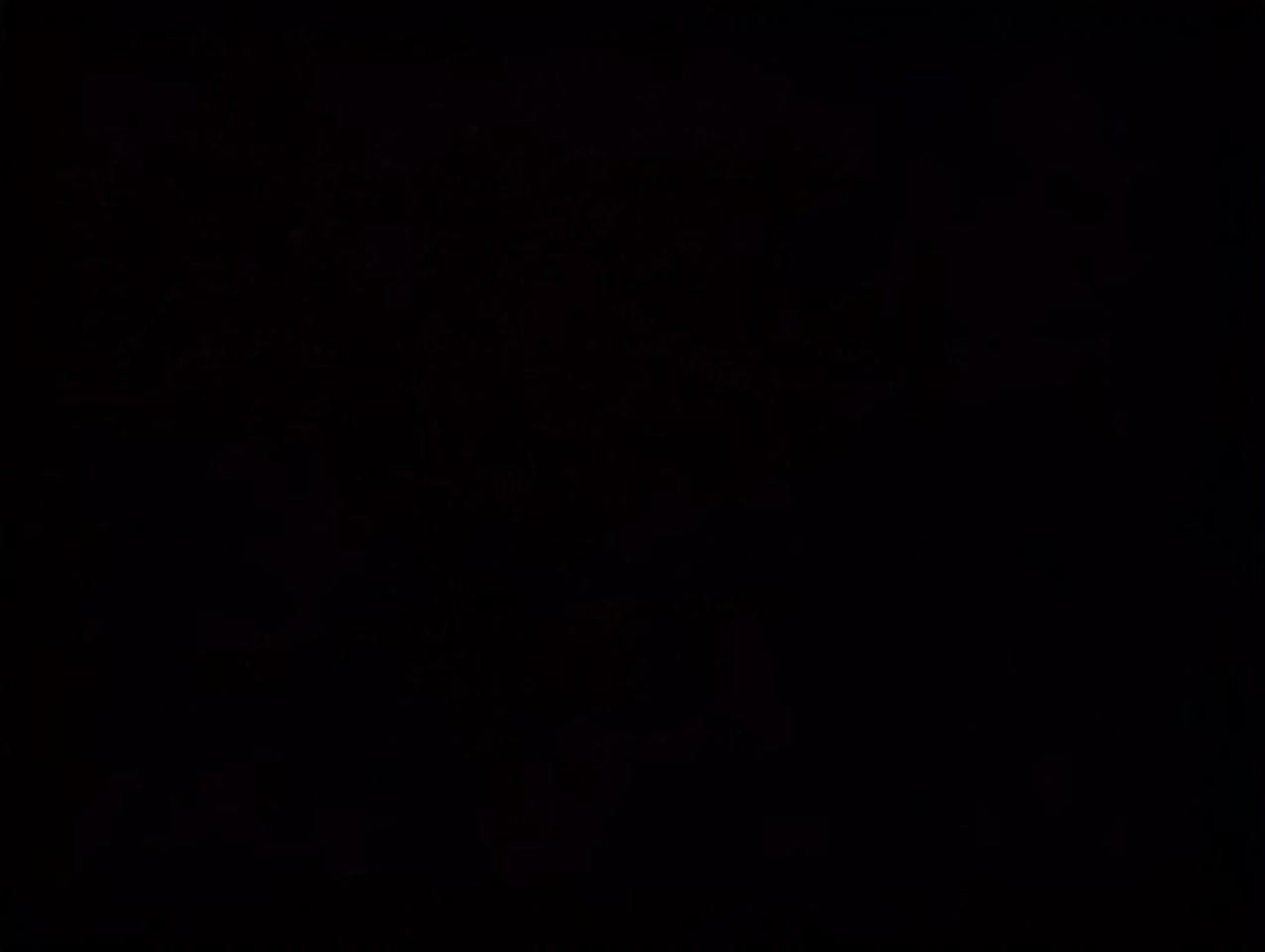 12790256