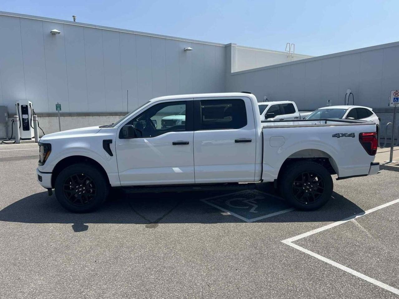 2025 Ford F-150 STX Photo2