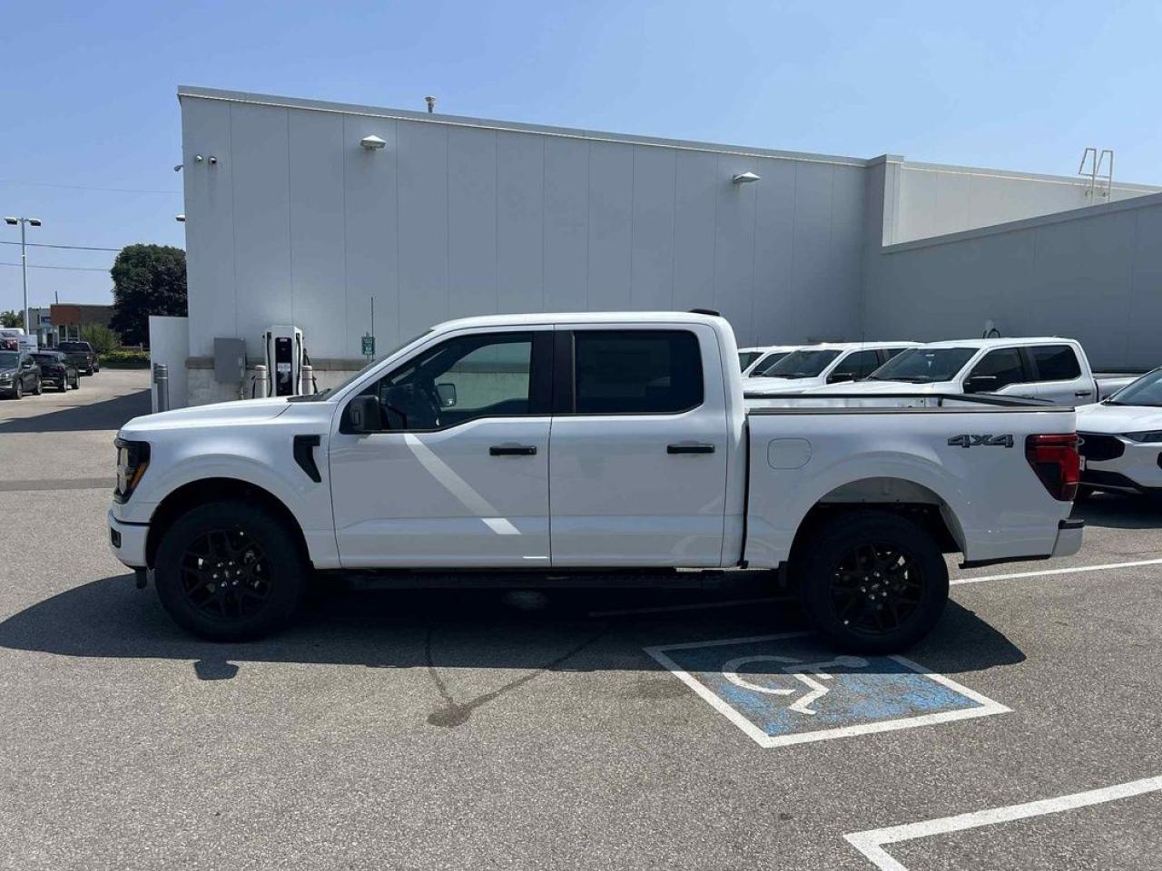 2025 Ford F-150 STX Photo2