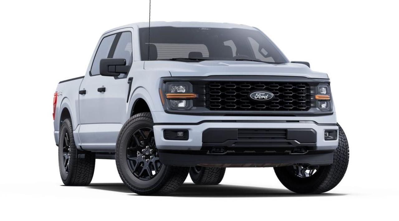 2025 Ford F-150 STX Photo12
