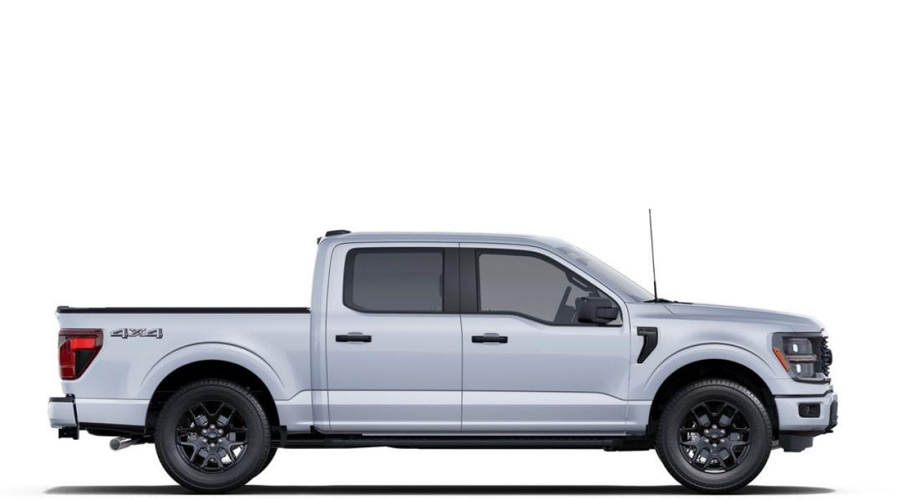 2025 Ford F-150 STX Photo5