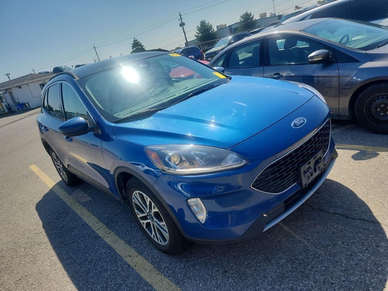 2022 Ford Escape SEL Photo