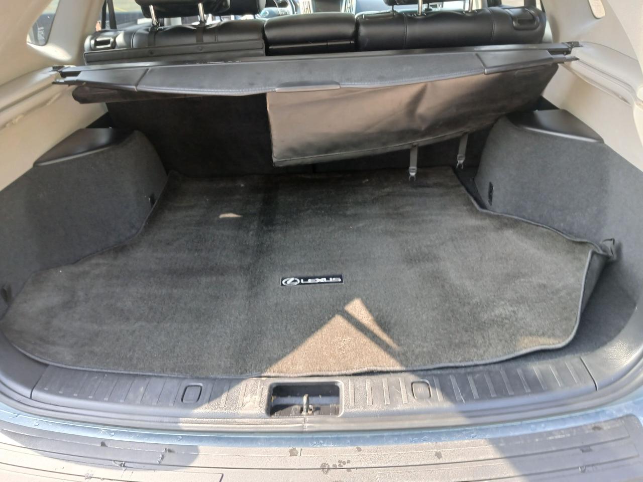 2009 Lexus RX 350  - Photo #35
