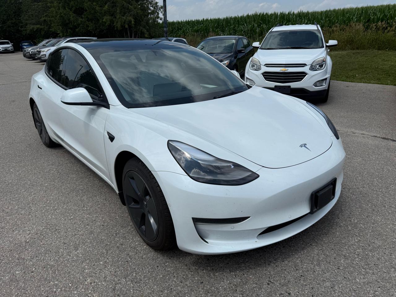 Used 2021 Tesla Model 3 STANDARD RANGE PLUS for sale in Waterloo, ON