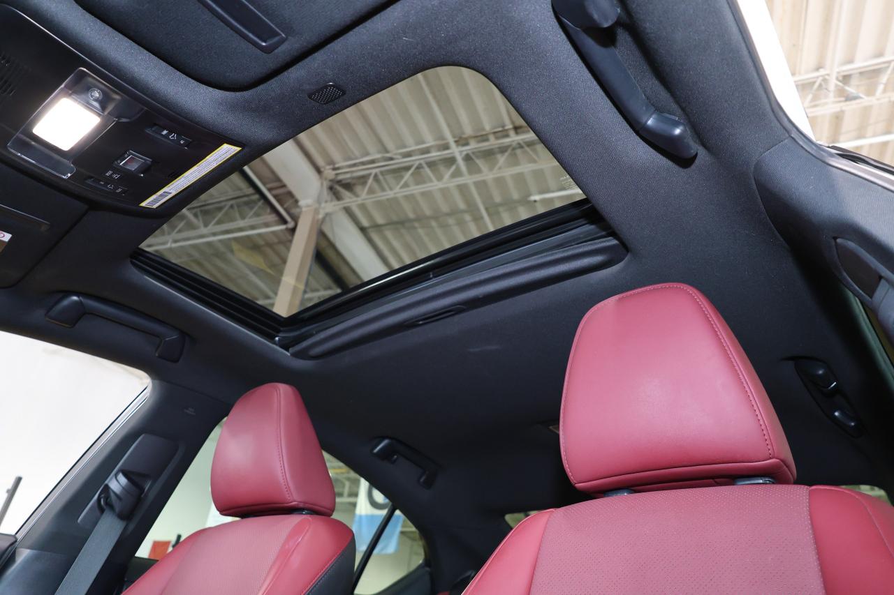 2021 Lexus IS IS300 AWD - SUNROOF|NAVI|CAMERA|MARK&LEVINSON - Photo #10