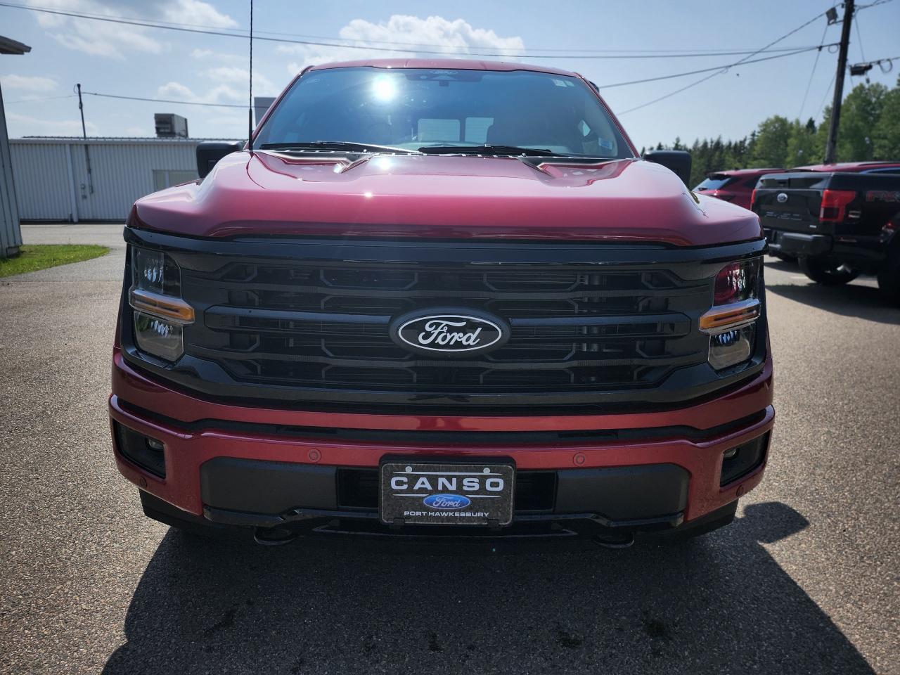 2025 Ford F-150 XLT 4WD SuperCrew 5.5' Box Photo