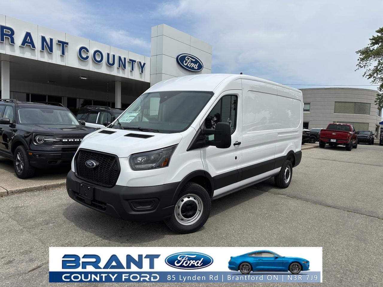 2025 Ford Transit Cargo Van TRANSIT CARGO/RWD Photo0