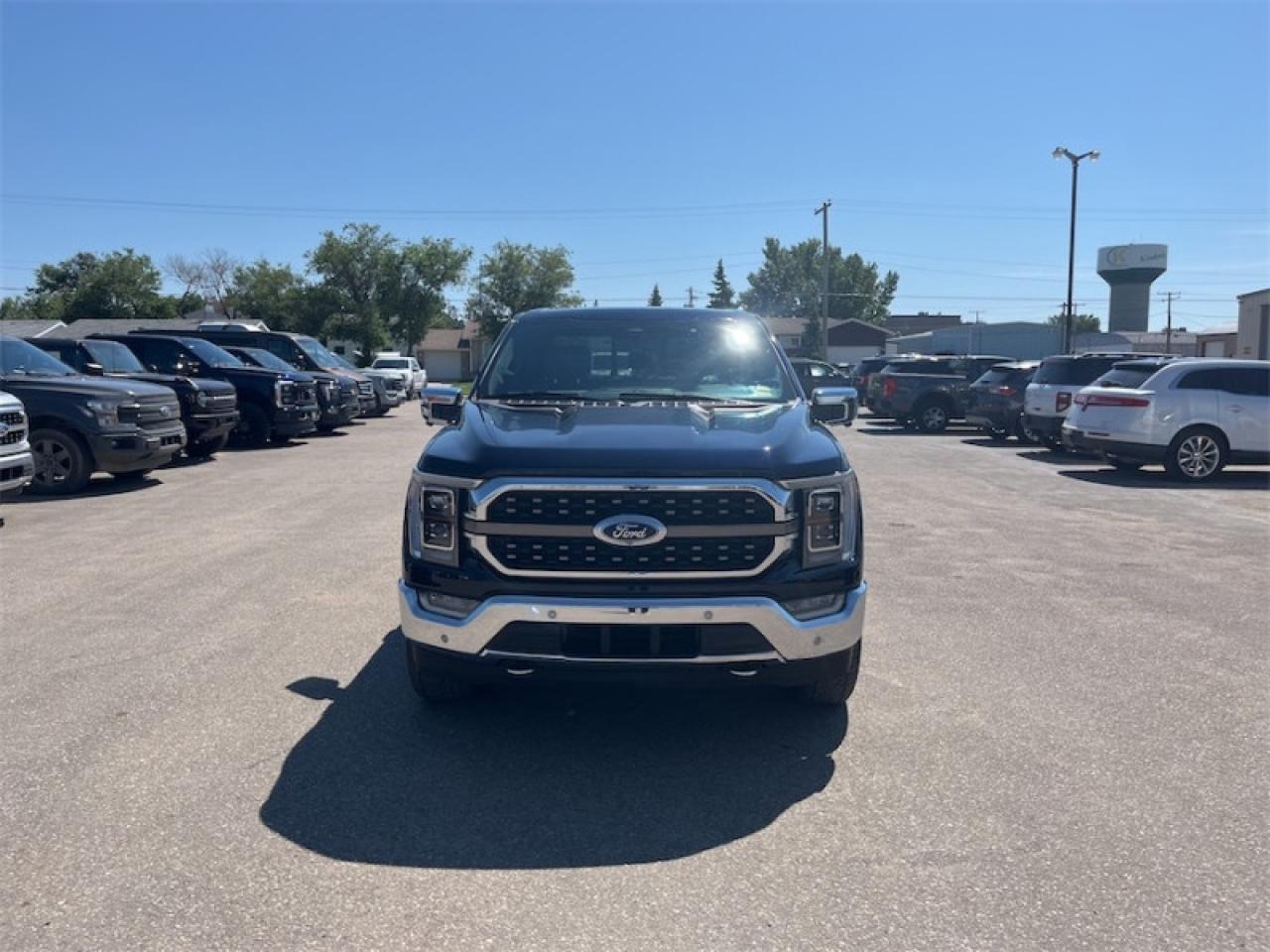 2023 Ford F-150  Photo3