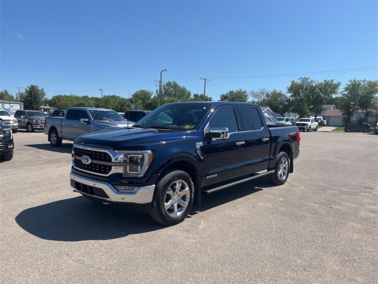 2023 Ford F-150  Photo4