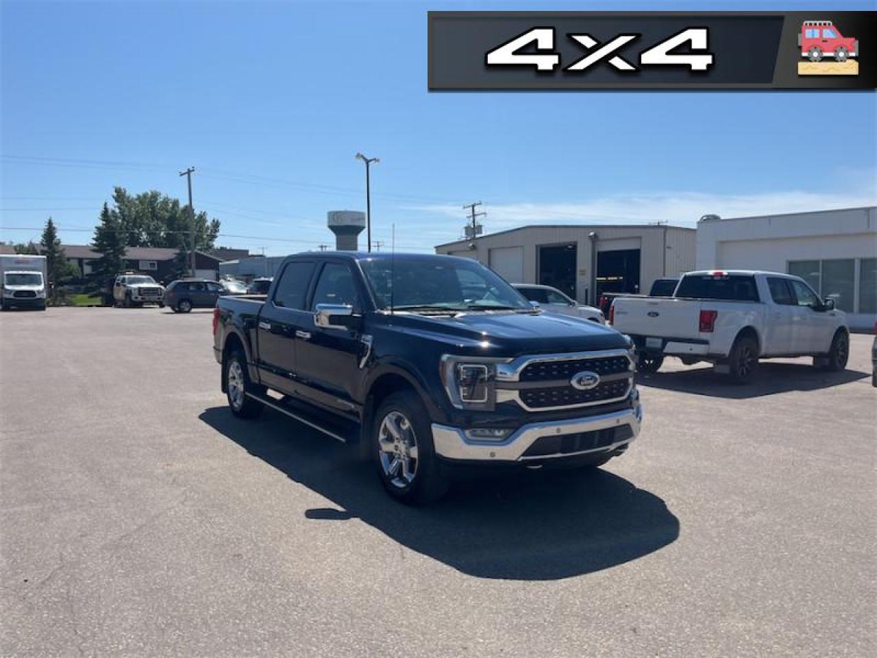 2023 Ford F-150  Photo