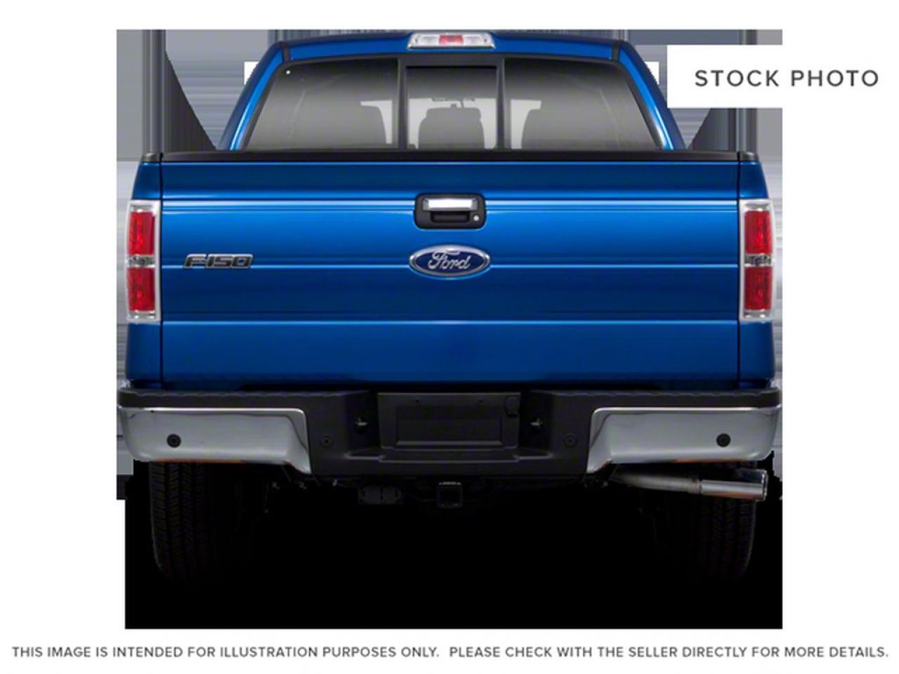 2010 Ford F-150 F-150 Photo3