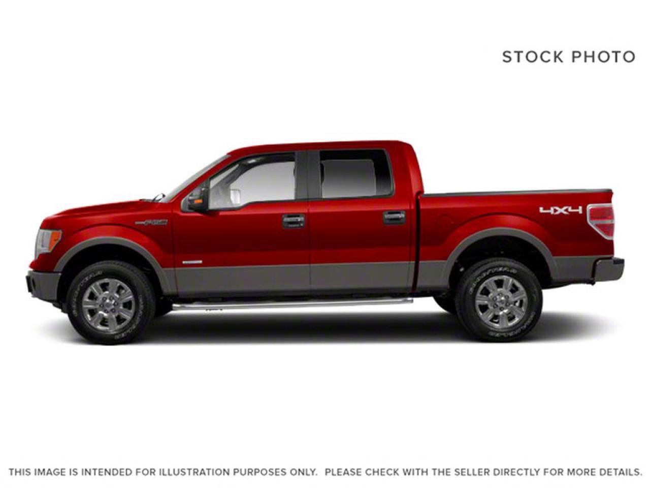 2010 Ford F-150 F-150 Photo1