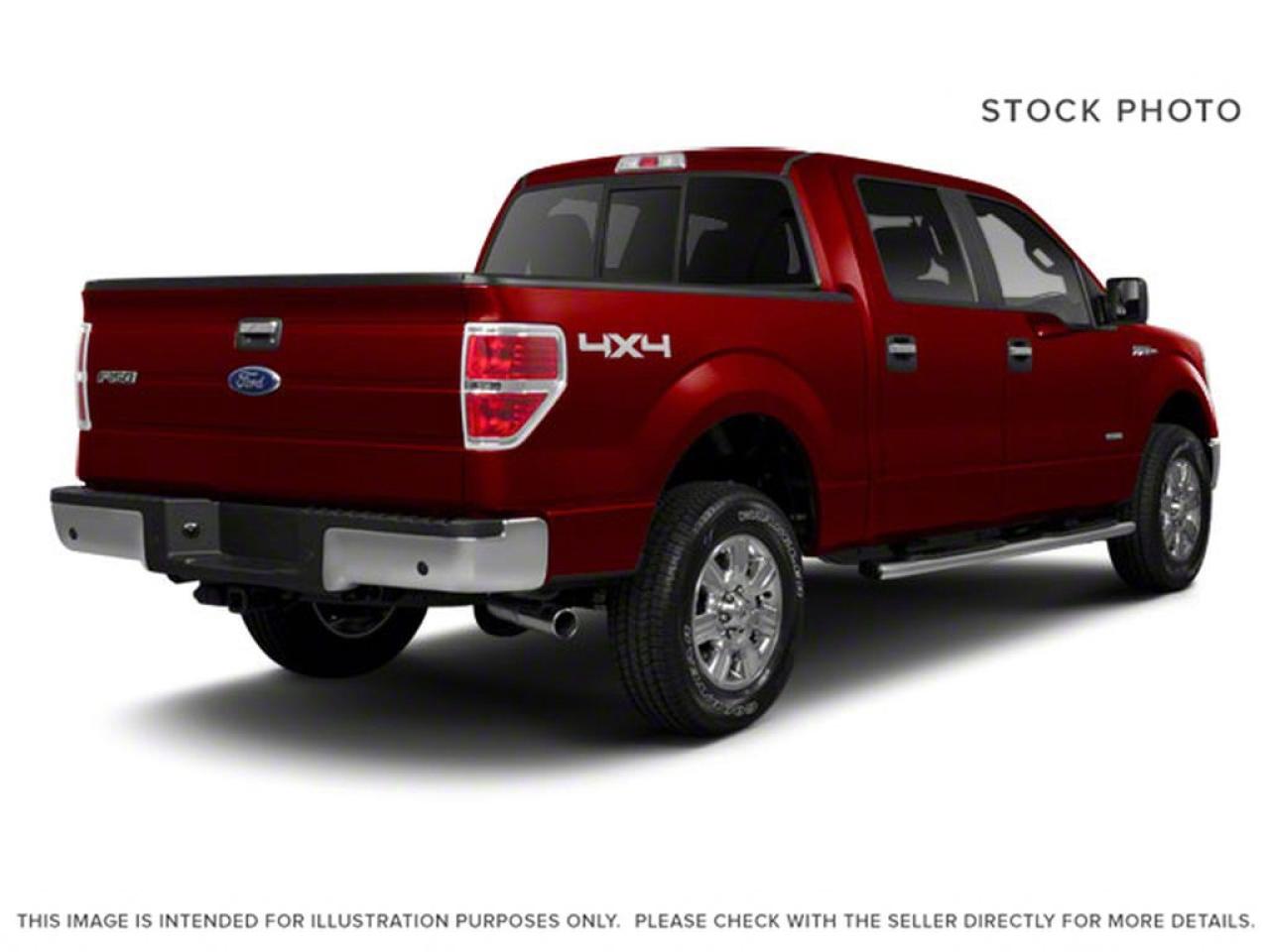 2010 Ford F-150 F-150 Photo2