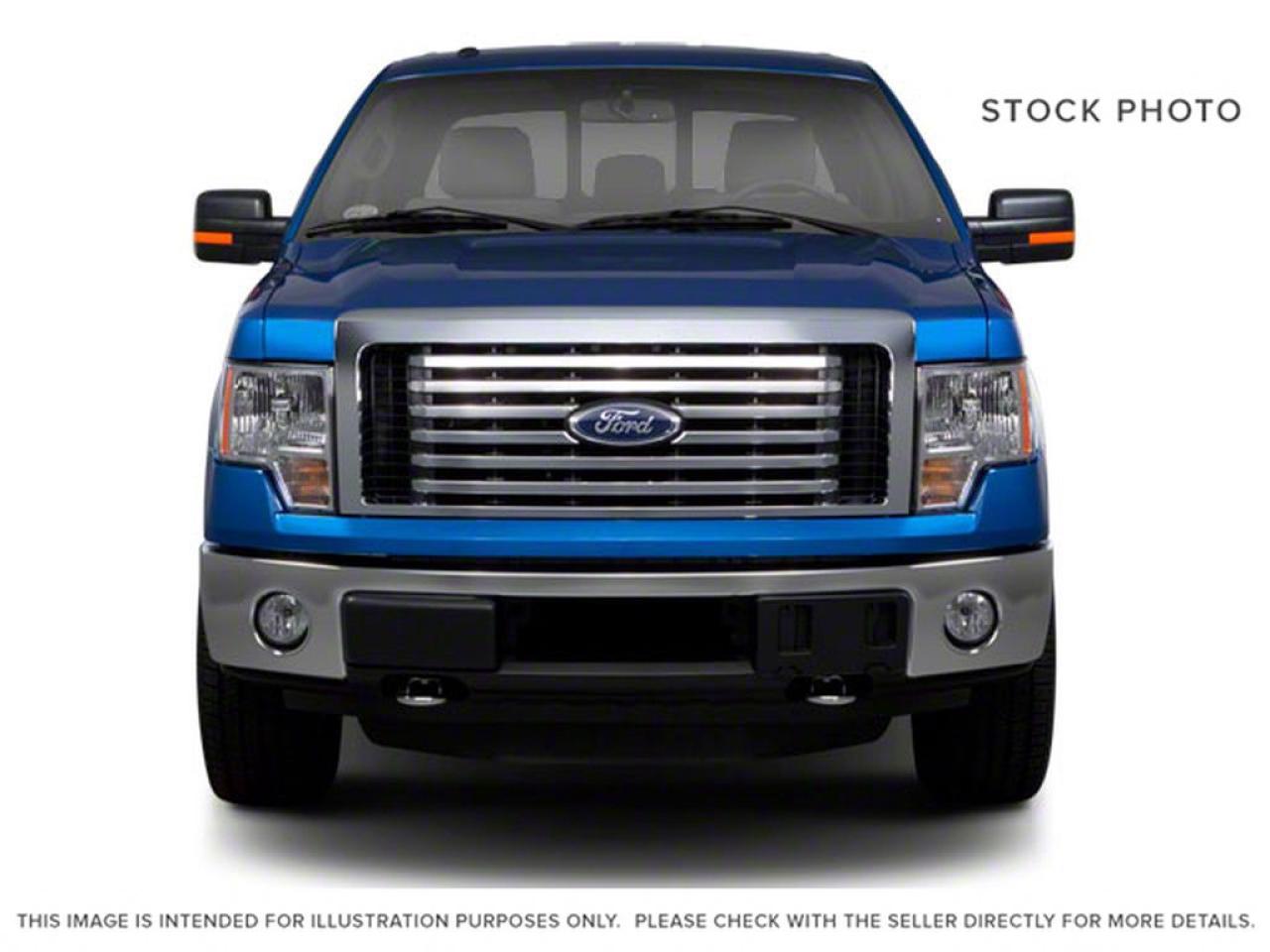 2010 Ford F-150 F-150 Photo4
