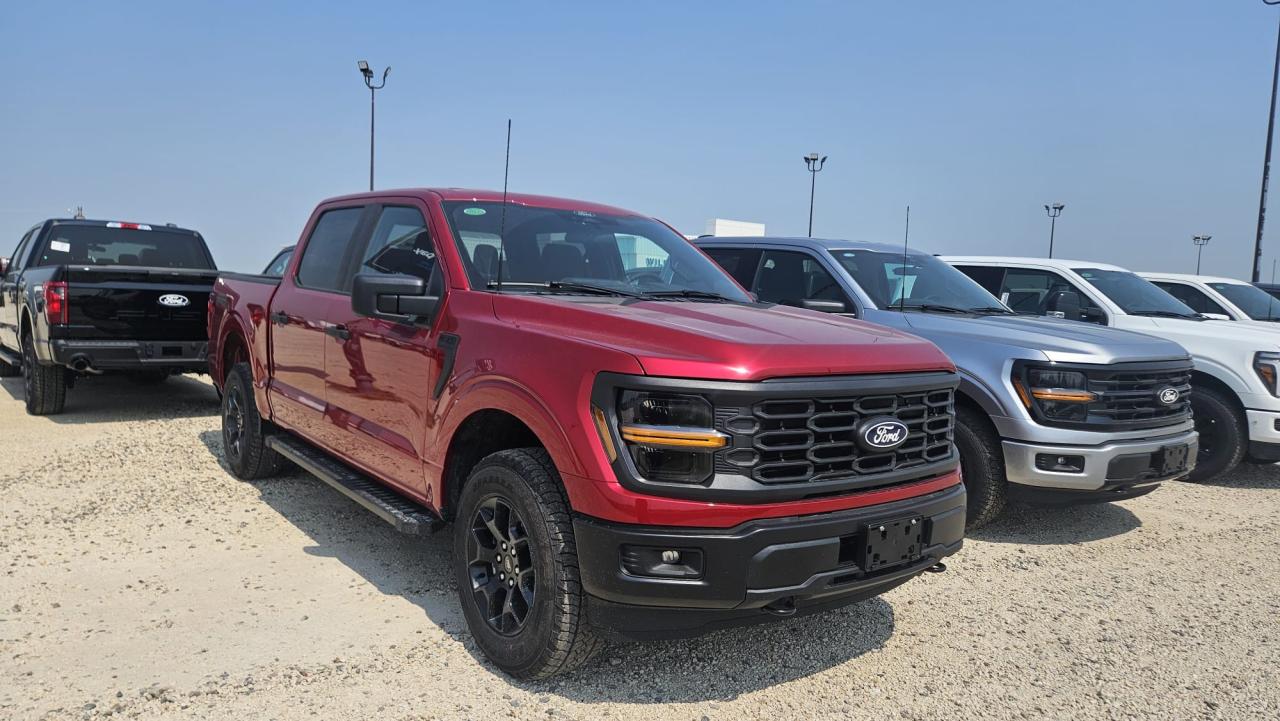 2025 Ford F-150 4X4 SUPERCREW - 145 201A Photo5