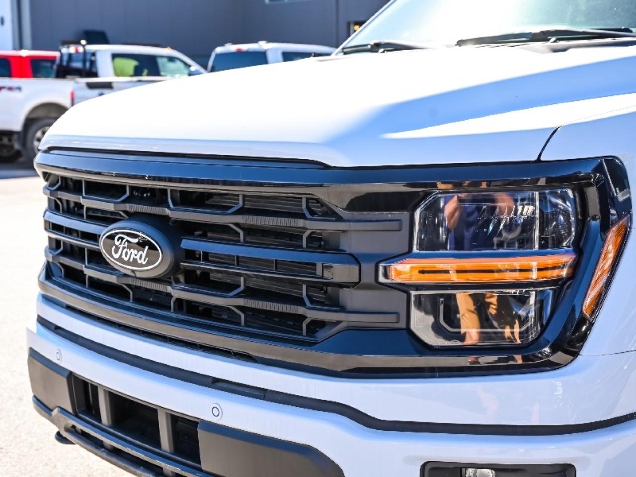 2025 Ford F-150 XLT Photo