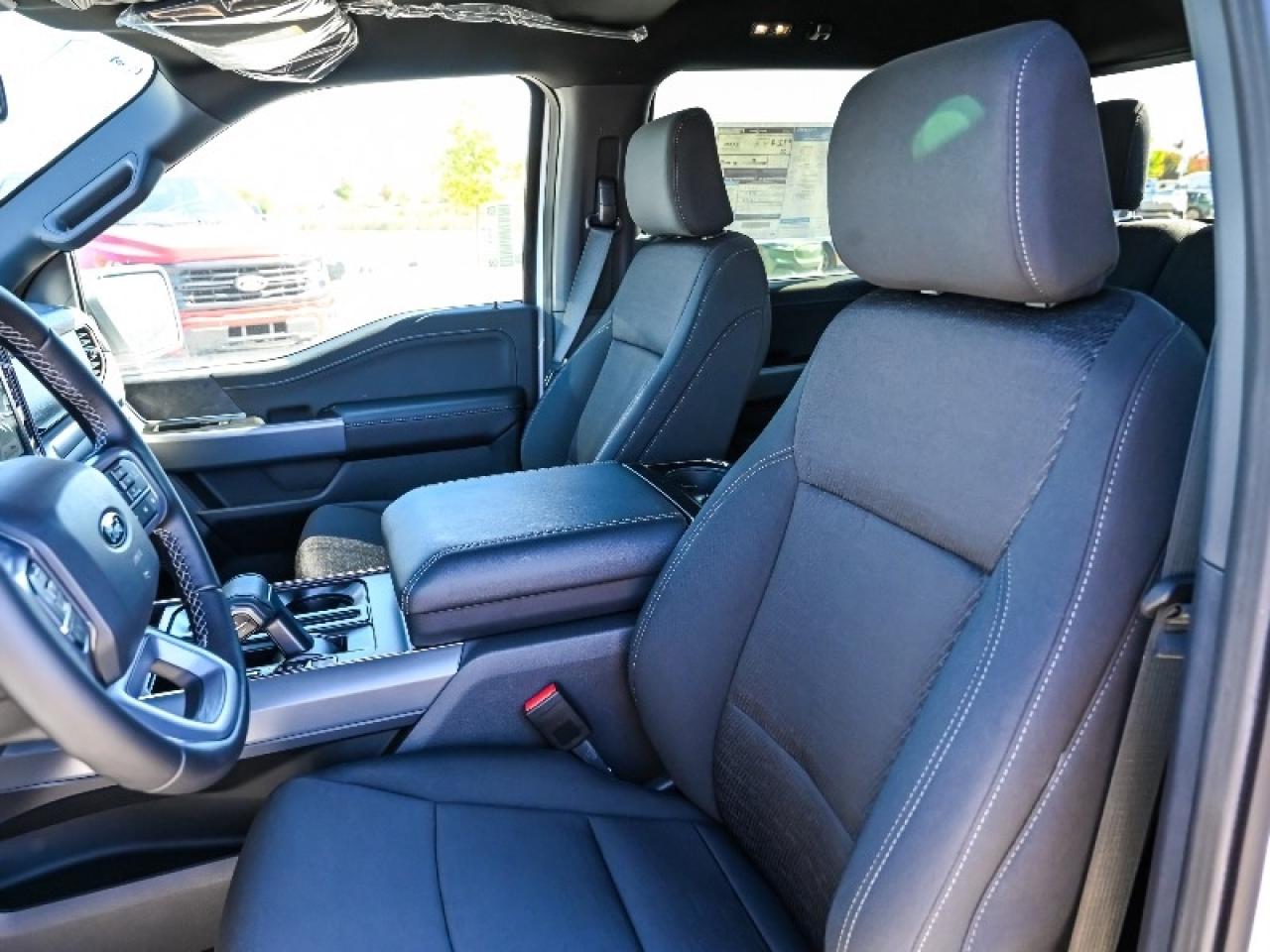 2025 Ford F-150 XLT Photo