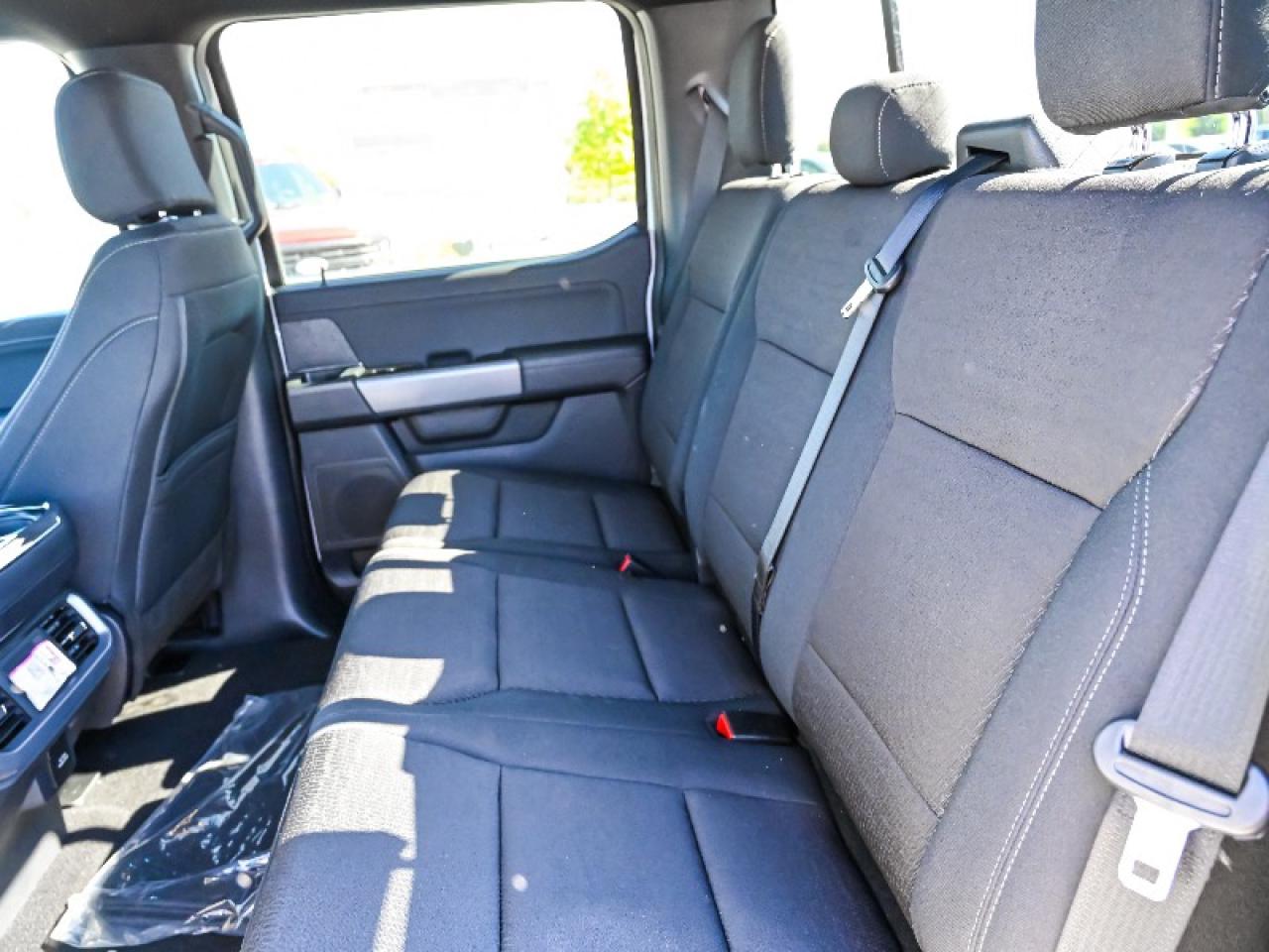 2025 Ford F-150 XLT Photo