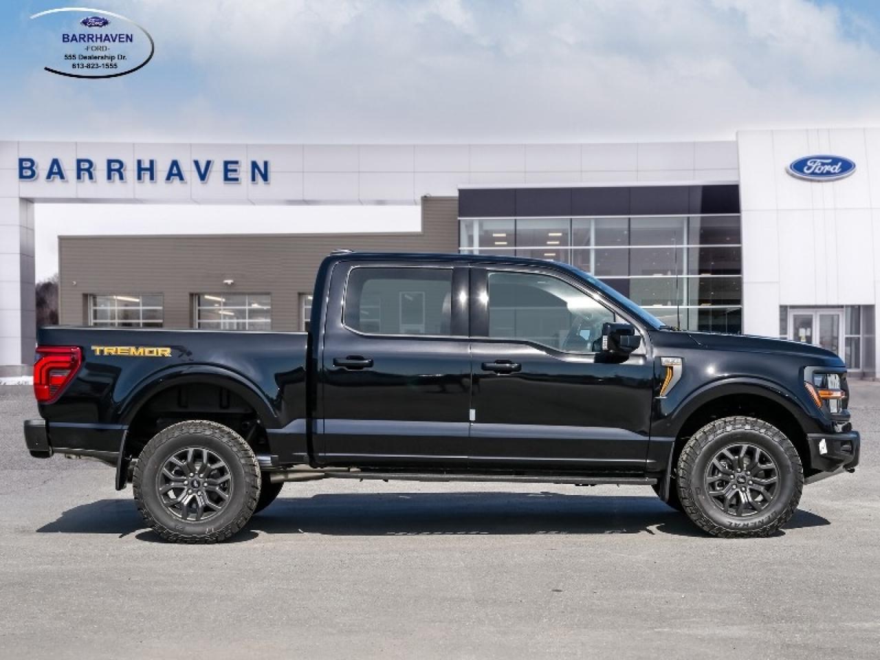 2025 Ford F-150 Tremor Photo