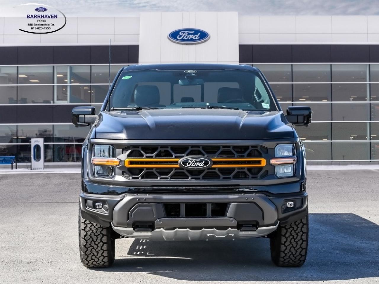 2025 Ford F-150 Tremor Photo