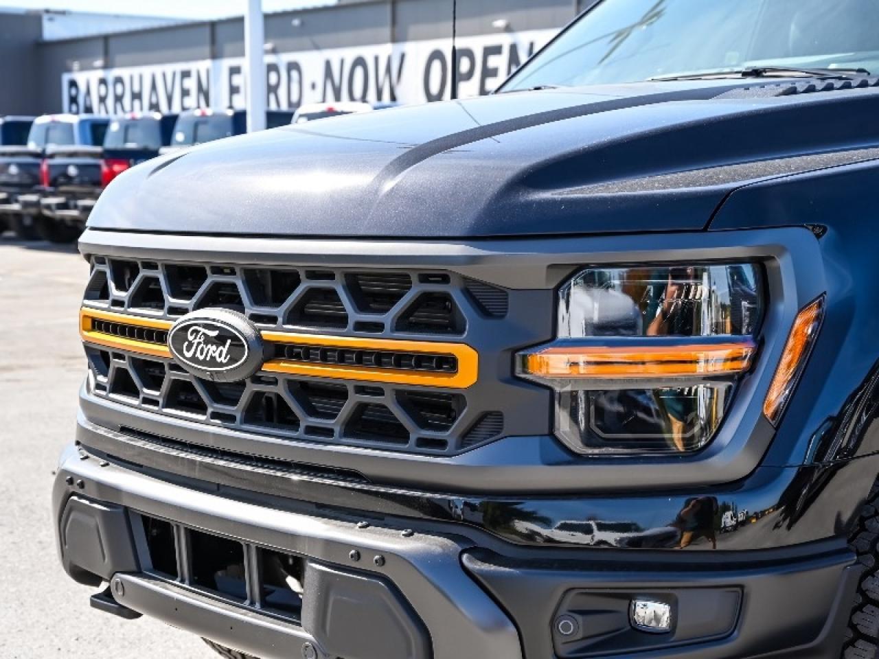 2025 Ford F-150 Tremor Photo