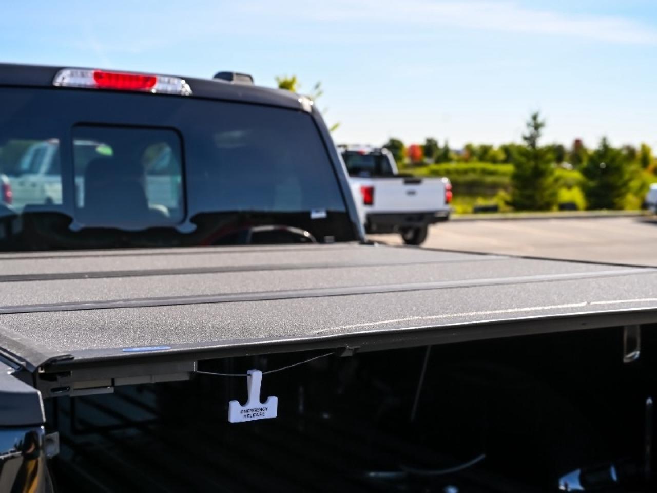 2025 Ford F-150 Tremor Photo