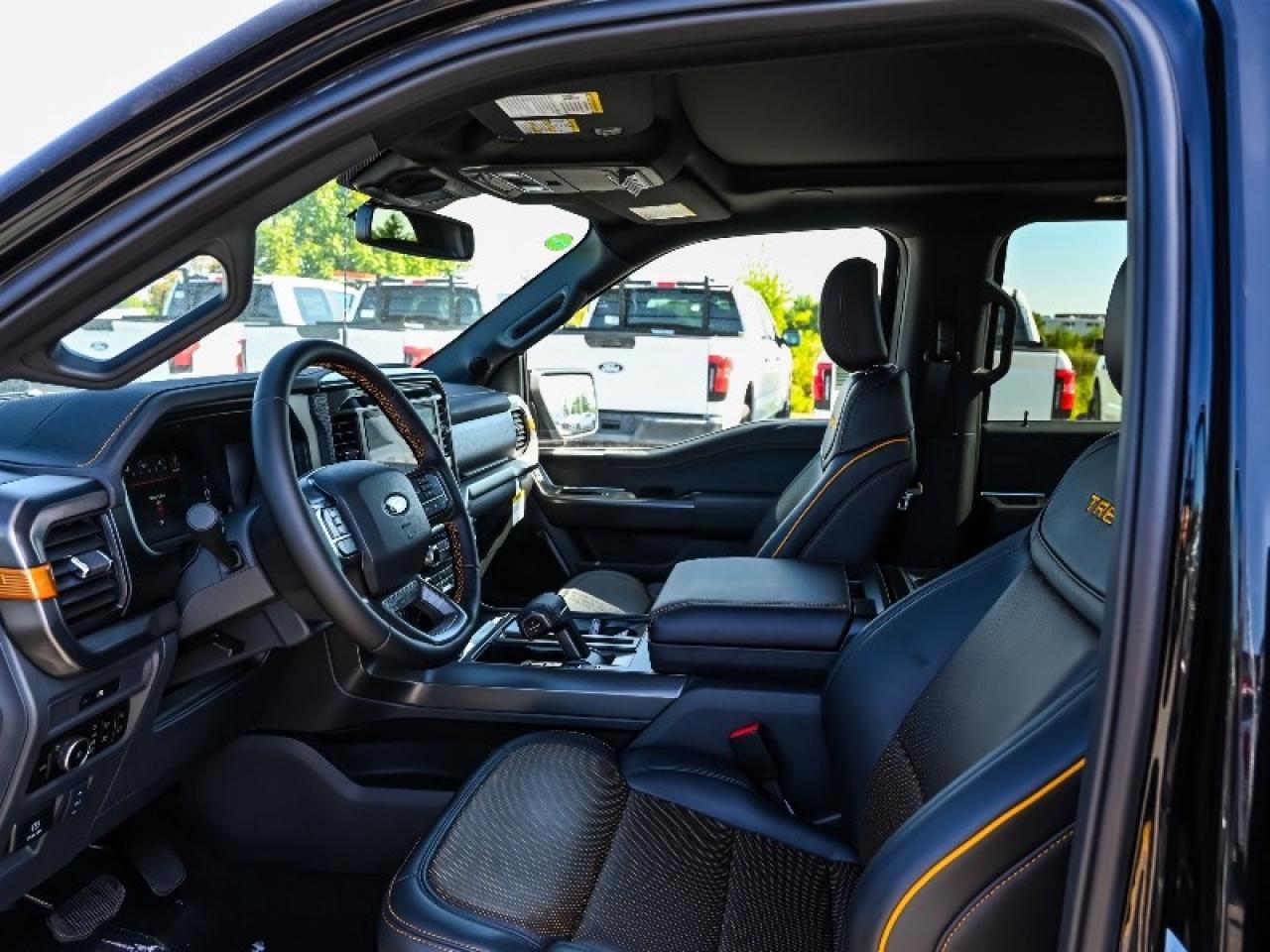2025 Ford F-150 Tremor Photo