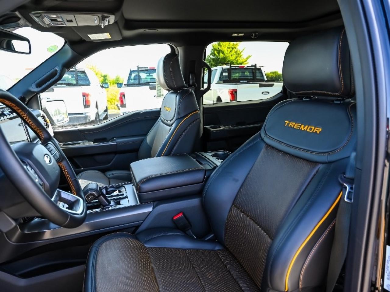 2025 Ford F-150 Tremor Photo