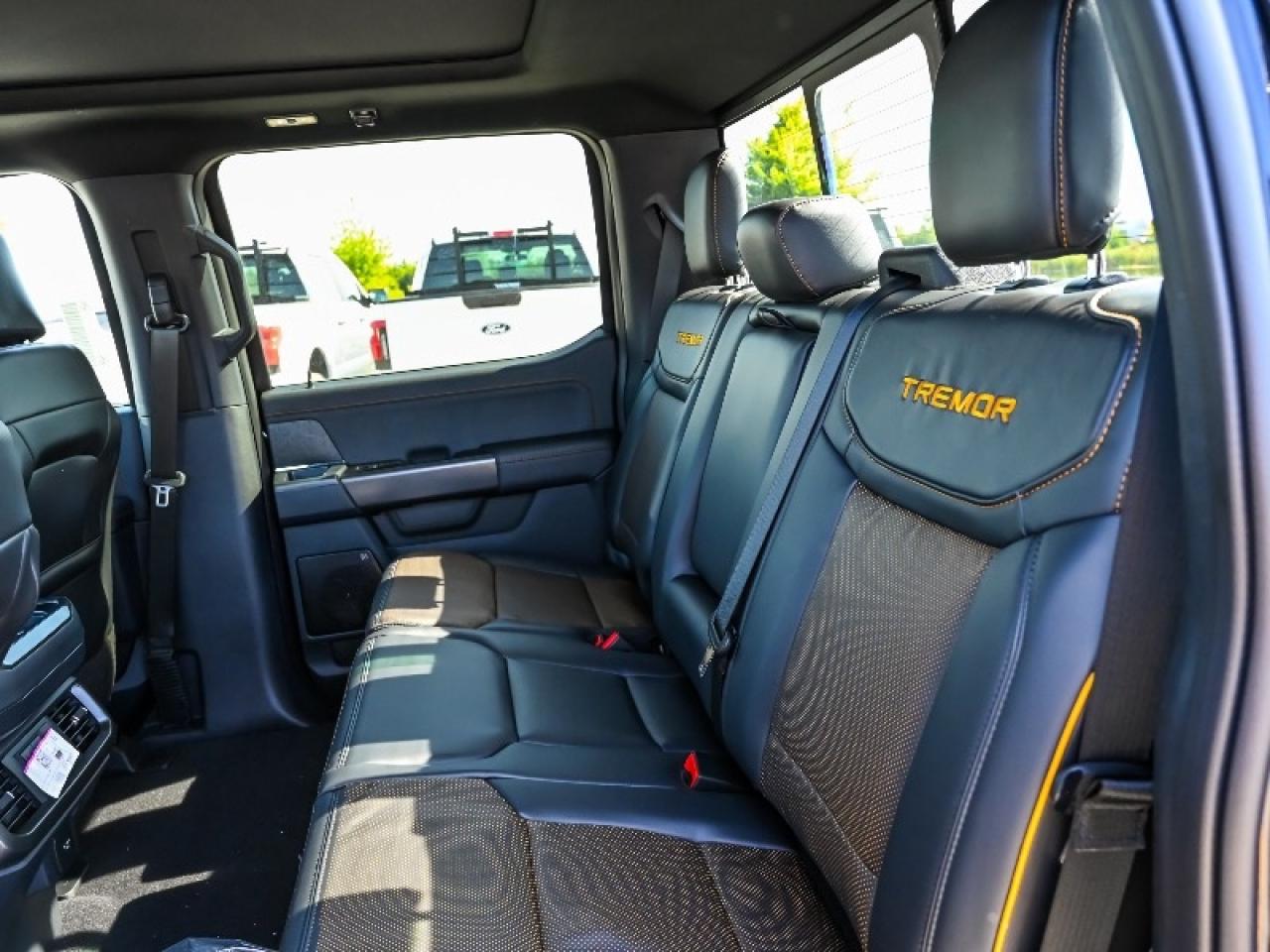 2025 Ford F-150 Tremor Photo