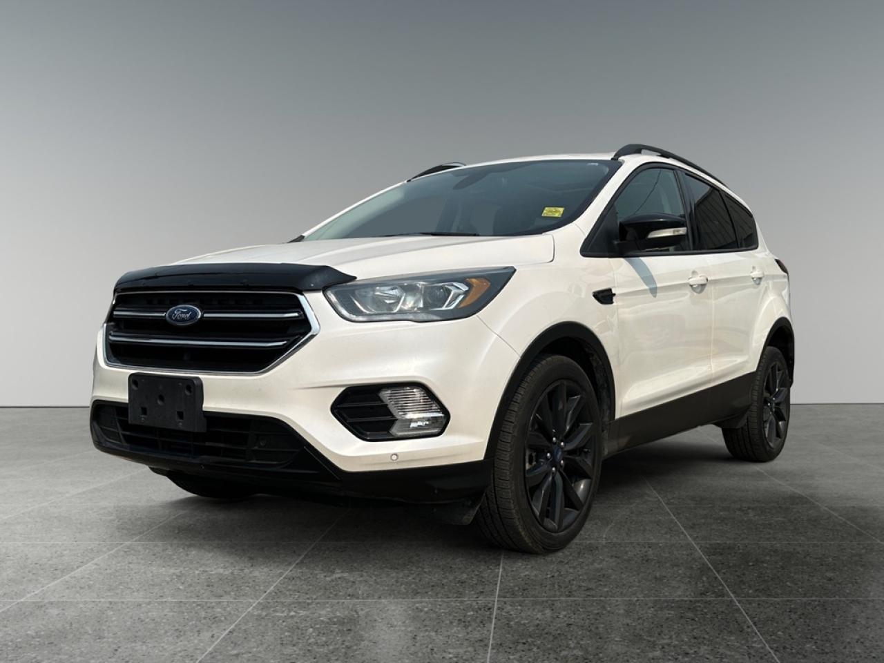 Used 2019 Ford Escape Titanium for sale in Saskatoon, SK