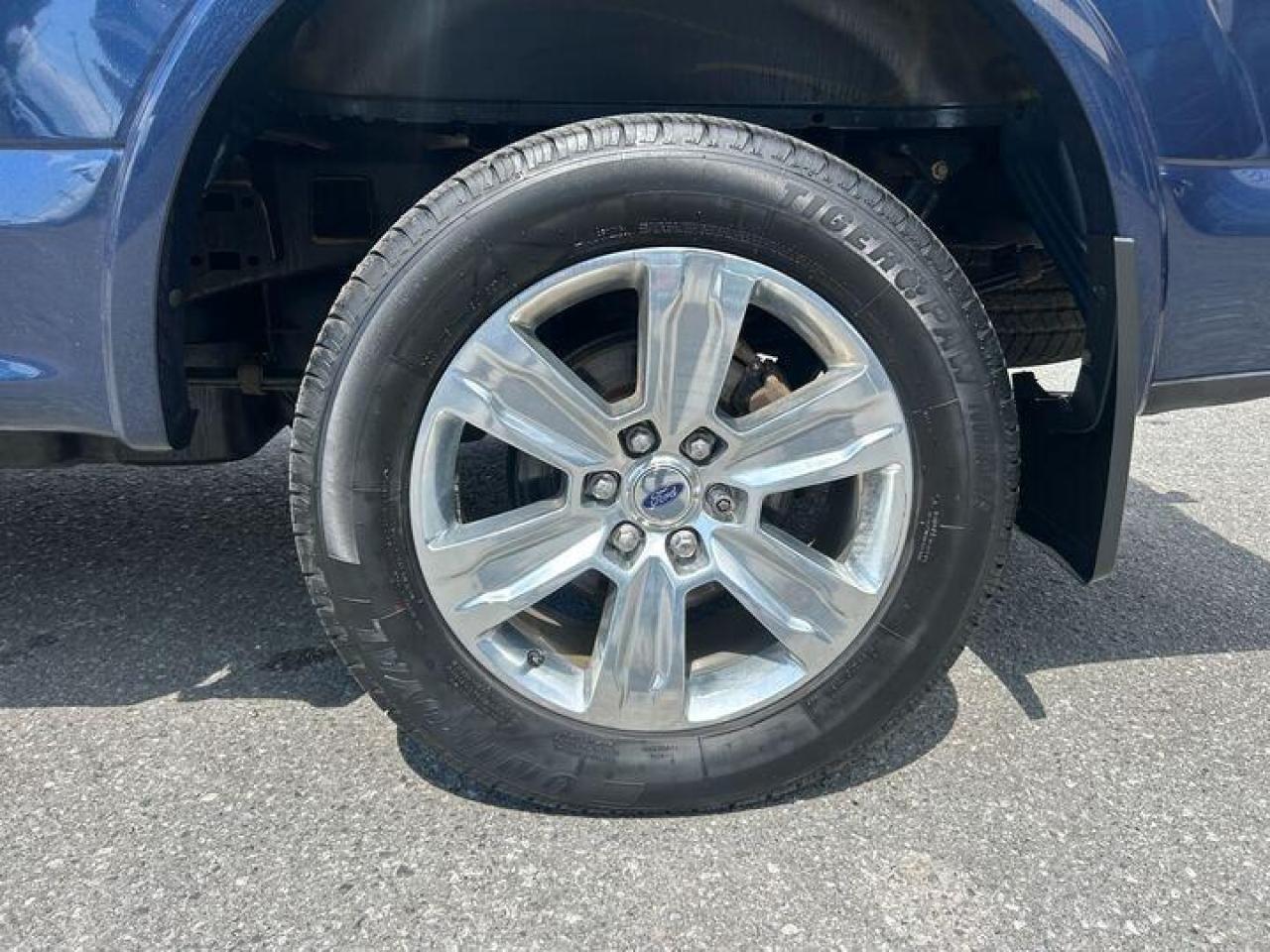 12795581