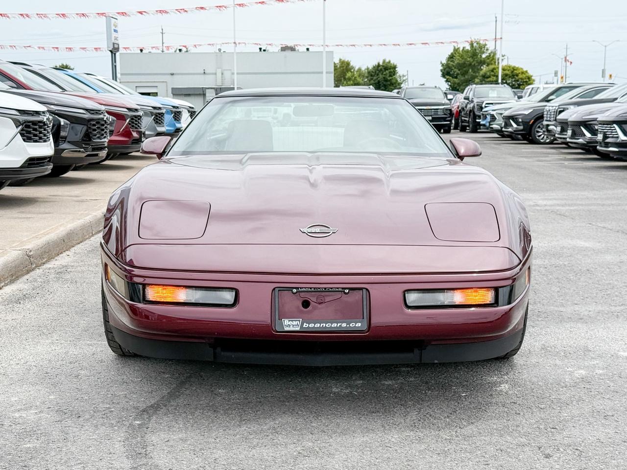 1993 Chevrolet Corvette 40TH ANNIVERSARY COUPE AUTO 40th ANNIVERSARY 1LT COUPE, AUTOMATIC, CLEAN CARFAX - SUPER CLEAN CORVETTE! Photo